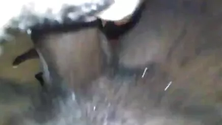 Cô gái cũ trên cầu thang tai phim séc